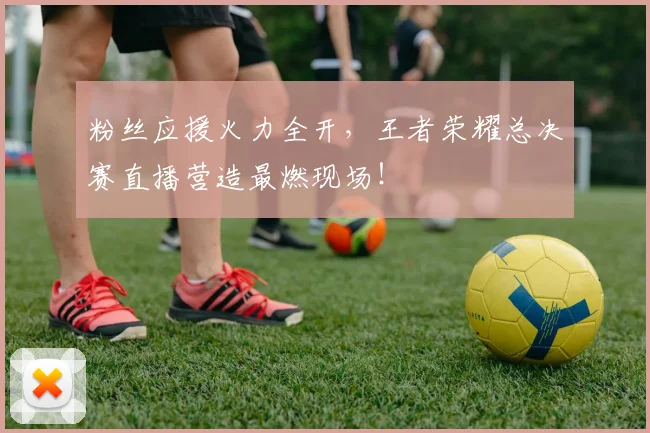 粉丝应援火力全开，王者荣耀总决赛直播营造最燃现场！